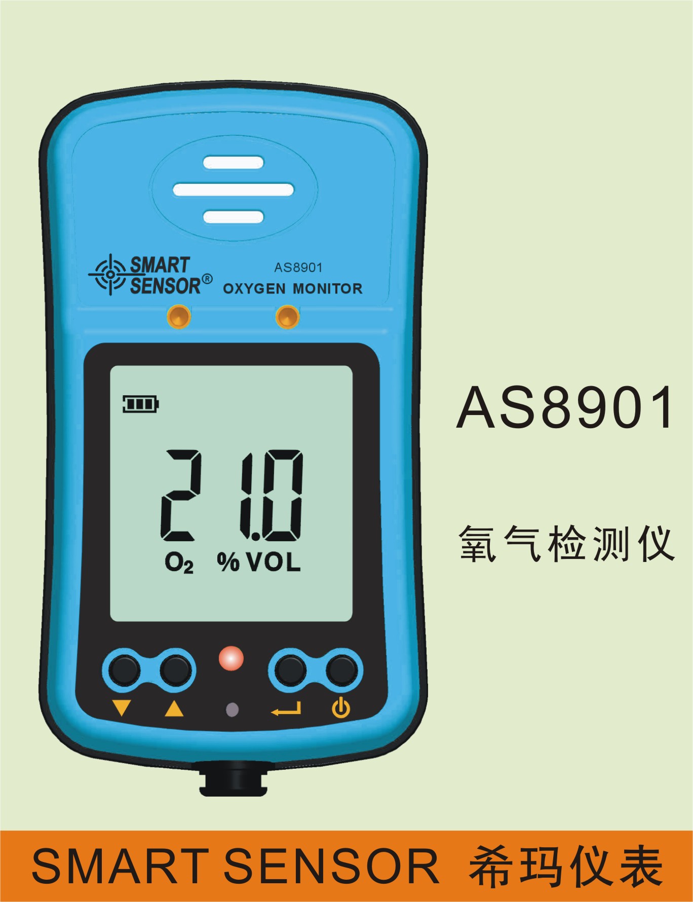 AS-8901氧气检测仪